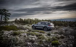 Cars wallpapers Audi Q5 TFSI quattro S line - 2024