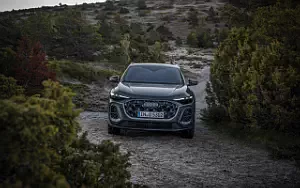 Cars wallpapers Audi Q5 TFSI quattro S line - 2024