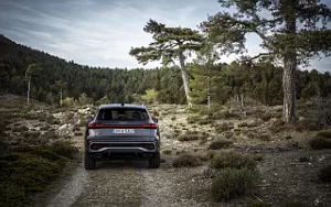 Cars wallpapers Audi Q5 TFSI quattro S line - 2024