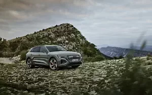 Cars wallpapers Audi Q8 55 e-tron quattro - 2022