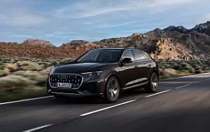 Cars wallpapers Audi Q8 55 TFSI e quattro - 2024