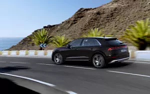 Cars wallpapers Audi Q8 55 TFSI e quattro - 2024