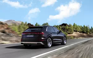 Cars wallpapers Audi Q8 55 TFSI e quattro - 2024