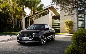 Cars wallpapers Audi Q8 55 TFSI e quattro - 2024