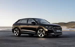Cars wallpapers Audi Q8 55 TFSI e quattro - 2024