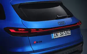 Cars wallpapers Audi SQ5 TFSI - 2024