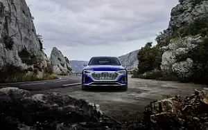 Cars wallpapers Audi SQ8 Sportback e-tron quattro - 2022