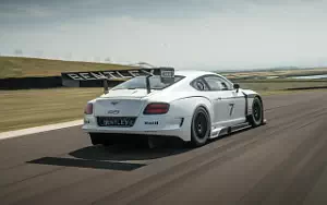 Cars wallpapers Bentley Continental GT3 - 2013