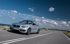 Cars wallpapers BMW 228i Convertible - 2014