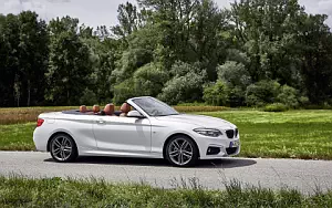 Cars wallpapers BMW 220d Convertible M Sport - 2017