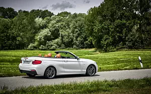 Cars wallpapers BMW 220d Convertible M Sport - 2017