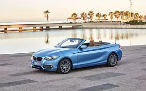 Cars wallpapers BMW 230i Convertible Luxury Line - 2017