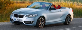 BMW 228i Convertible - 2014