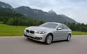 Cars wallpapers BMW 530d Luxury Line - 2013