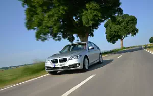 Cars wallpapers BMW 530d Luxury Line - 2013