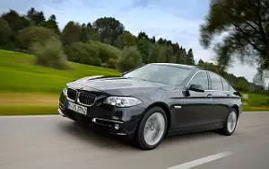 Cars wallpapers BMW 518d Luxury Line - 2014