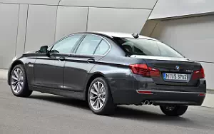 Cars wallpapers BMW 518d Luxury Line - 2014