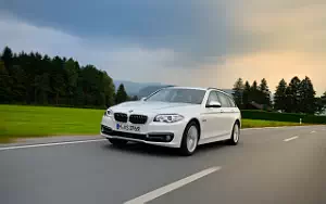 Cars wallpapers BMW 520d Touring Luxury Line - 2014