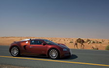 Cars wallpapers Bugatti Veyron Red - 2008