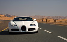 Cars wallpapers Bugatti Veyron White - 2008