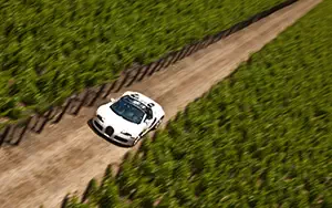 Cars wallpapers Bugatti Veyron Grand Sport Roadster US-spec - 2009