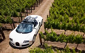 Cars wallpapers Bugatti Veyron Grand Sport Roadster US-spec - 2009