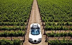 Cars wallpapers Bugatti Veyron Grand Sport Roadster US-spec - 2009