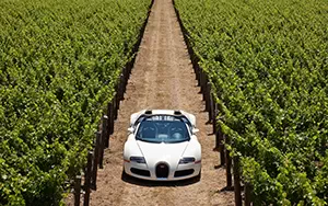 Cars wallpapers Bugatti Veyron Grand Sport Roadster US-spec - 2009