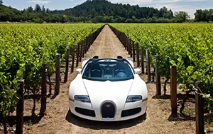 Cars wallpapers Bugatti Veyron Grand Sport Roadster US-spec - 2009