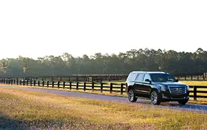 Cars wallpapers Cadillac Escalade - 2014