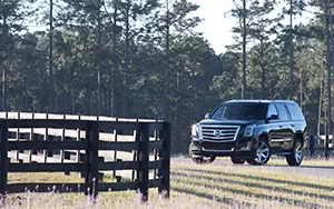 Cars wallpapers Cadillac Escalade - 2014