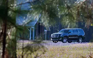 Cars wallpapers Cadillac Escalade - 2014