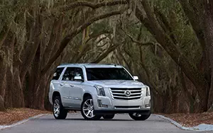 Cars wallpapers Cadillac Escalade - 2014