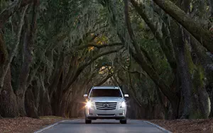 Cars wallpapers Cadillac Escalade - 2014