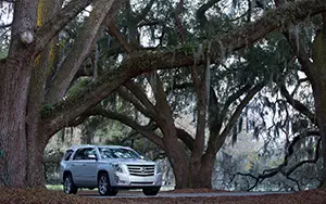 Cars wallpapers Cadillac Escalade - 2014