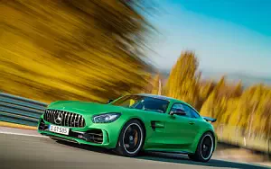 Cars wallpapers Mercedes-AMG GT R - 2016