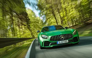 Cars wallpapers Mercedes-AMG GT R - 2016