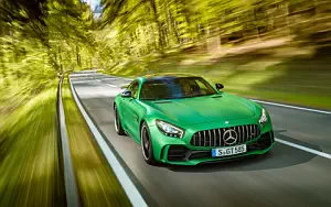 Cars wallpapers Mercedes-AMG GT R - 2016