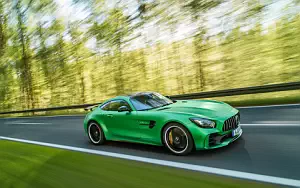 Cars wallpapers Mercedes-AMG GT R - 2016