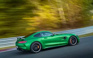 Cars wallpapers Mercedes-AMG GT R - 2016