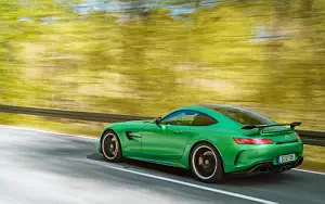 Cars wallpapers Mercedes-AMG GT R - 2016