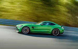 Cars wallpapers Mercedes-AMG GT R - 2016