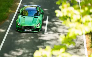 Cars wallpapers Mercedes-AMG GT R - 2016