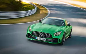 Cars wallpapers Mercedes-AMG GT R - 2016