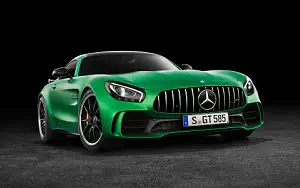 Cars wallpapers Mercedes-AMG GT R - 2016