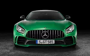 Cars wallpapers Mercedes-AMG GT R - 2016