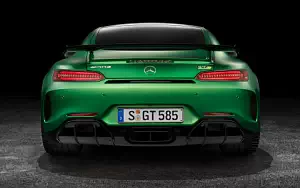 Cars wallpapers Mercedes-AMG GT R - 2016