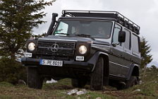 Cars wallpapers Mercedes-Benz G-class Professional - 2012