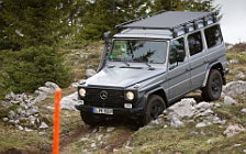 Cars wallpapers Mercedes-Benz G-class Professional - 2012