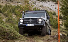 Cars wallpapers Mercedes-Benz G-class Professional - 2012